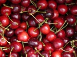 Kent Cherries