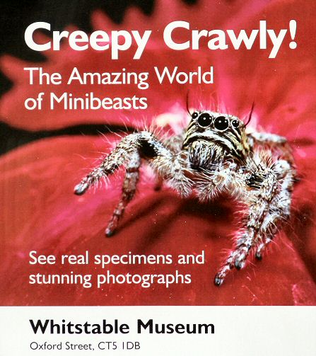minibeastposter <p>The amazing world of minibeasts.</p>